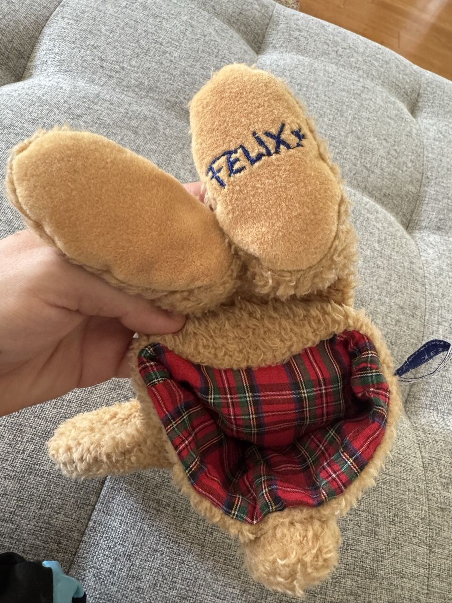 Giocattoli: Felix Handpuppe - Spiegelburg  – Usato da Dierikon venduto da FraeuleinMaus17 5