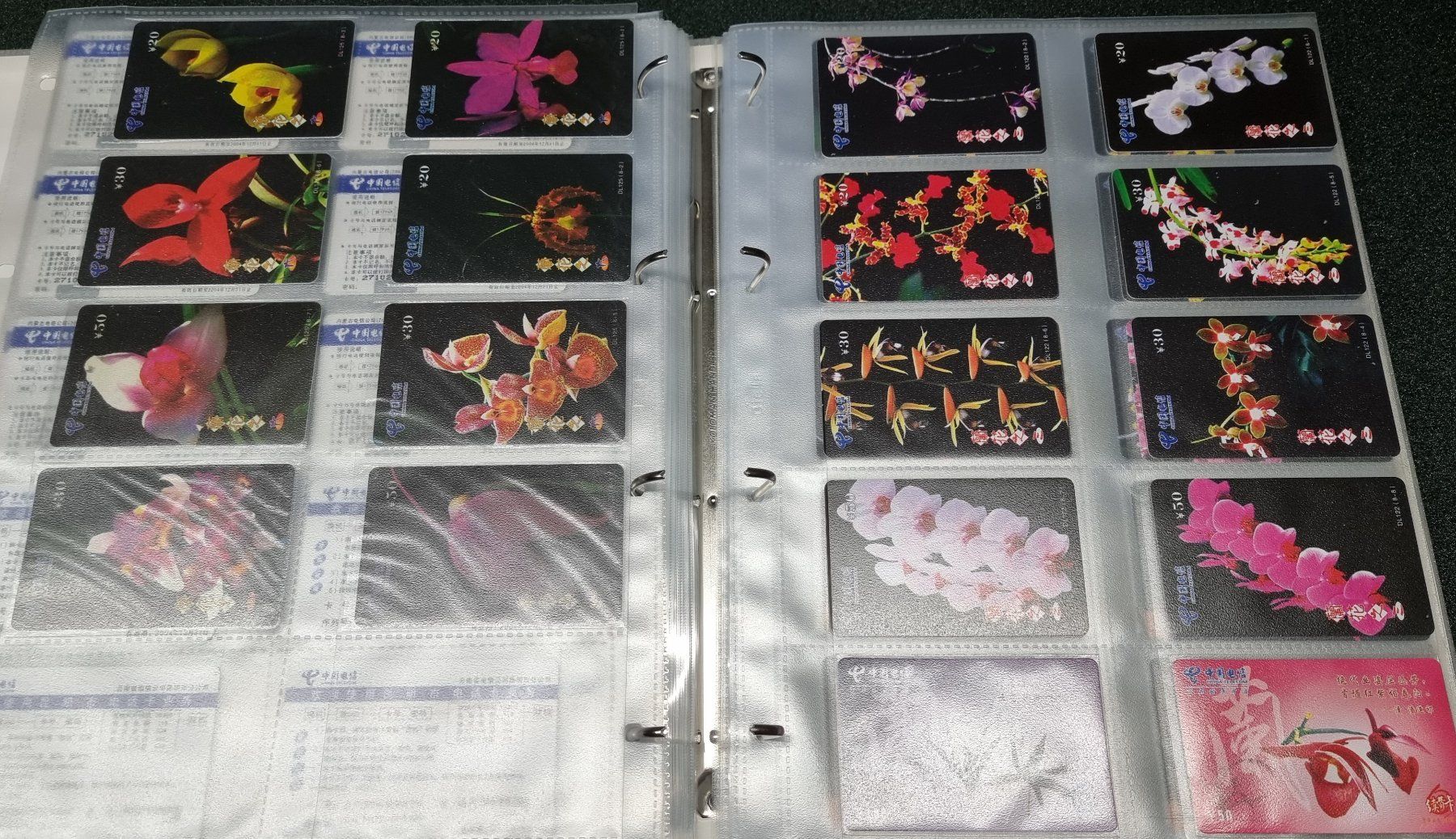 Album: Album 3 silber Telefonkarten Orchideen – Usato da Lostorf venduto da Dalbi 9