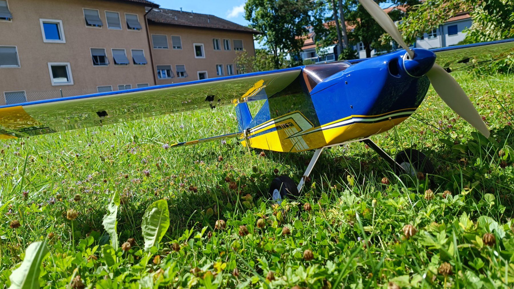 Modellismo RC: OMP Hobby Bighorn 1250mm Kunstflugzeug – Nuovo (secondo la descrizione) da Winterthur venduto da Tmaexx 3