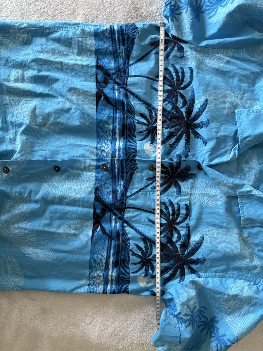 Camicie: Hawaii Shirt – Usato da Steffisburg venduto da laura_bazinga 4
