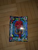 Panini Cristiano Rolando