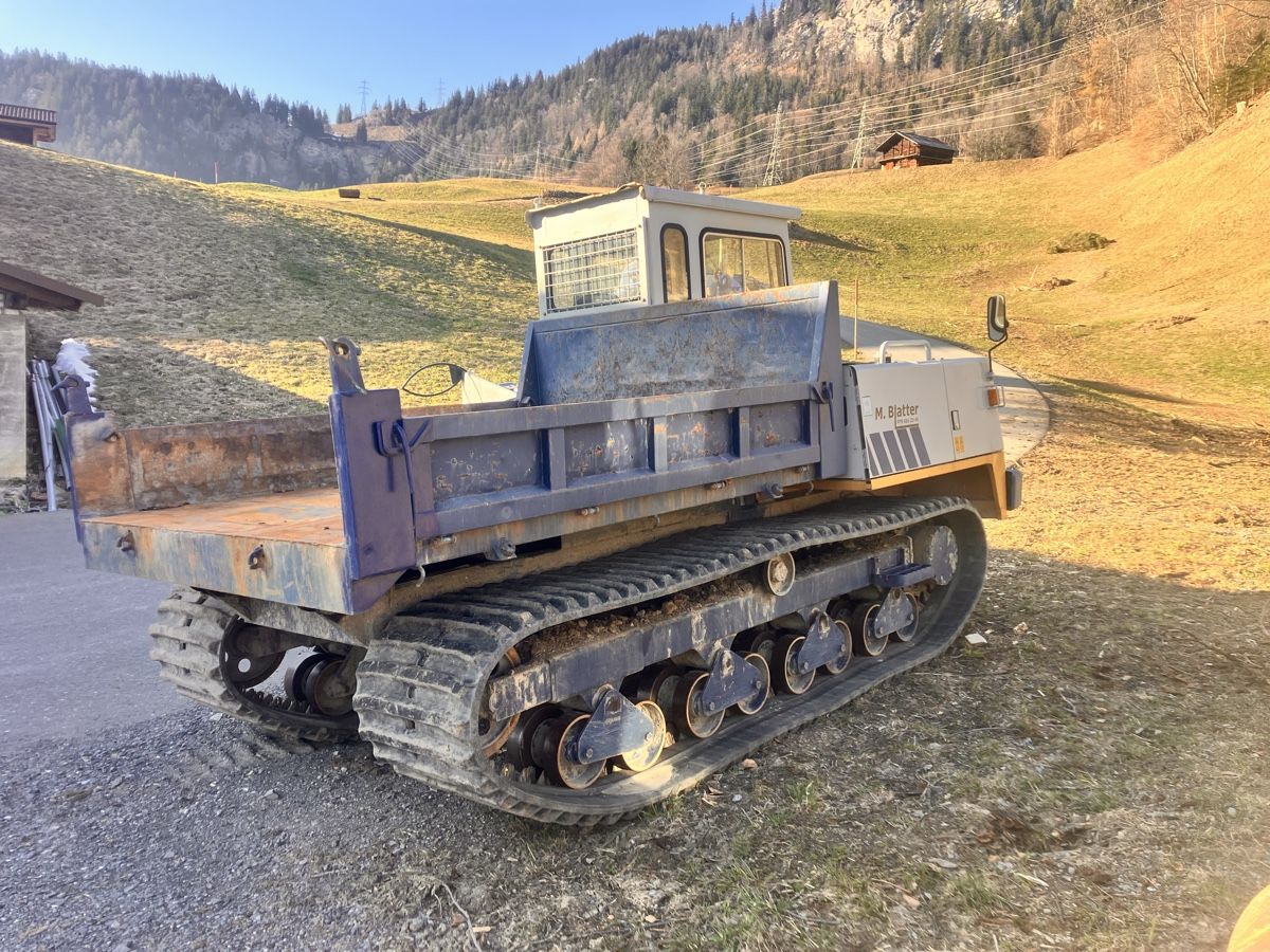Hutter Toutes les machines: Raupendumper – D'occasion à Hasliberg Hohfluh par ec220 2