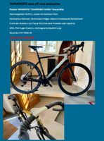 YAMAMOTO Carbon Gravel E-Bike Handmade