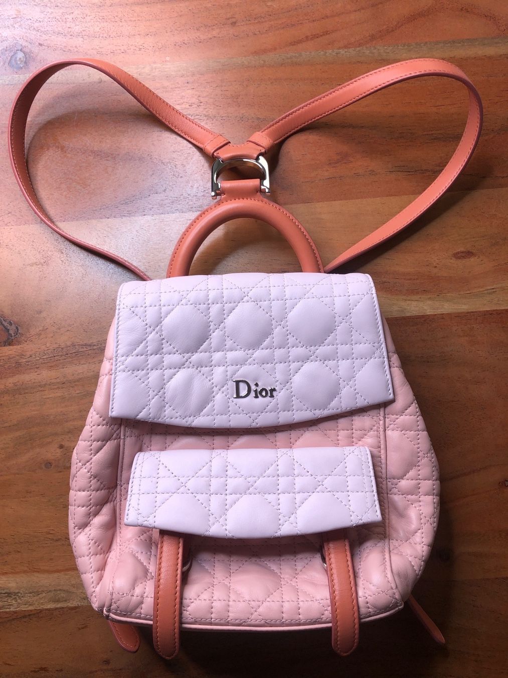Dior Zaini: DIOR Rücksack-Tasche Limited Edition NEU – Nuovo (secondo la descrizione) da St. Moritz venduto da Capricorn88
