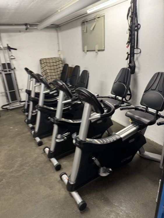 Cybex Cyclone 530R Recumbent Bike Kaufen auf Ricardo