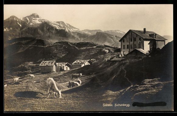 Ansichtskarten: Grosse Scheidegg, Schwarzhorn, Gemsberg, – Gebraucht aus Berlin von bartko-reher