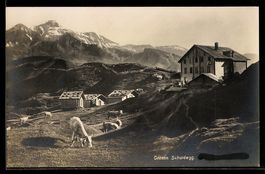 Grosse Scheidegg, Schwarzhorn, Gemsberg,