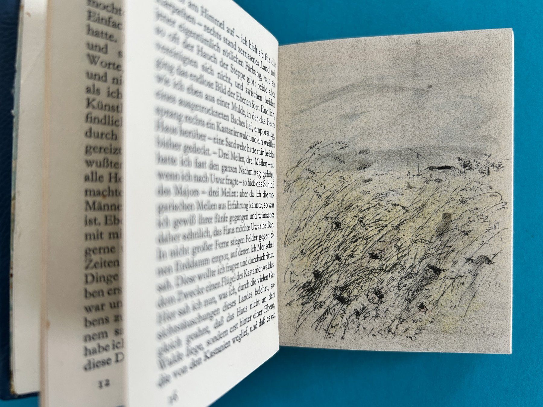 Libri: Kleines DUO BUCH in Leder – Usato da Zürich venduto da Domus09 3