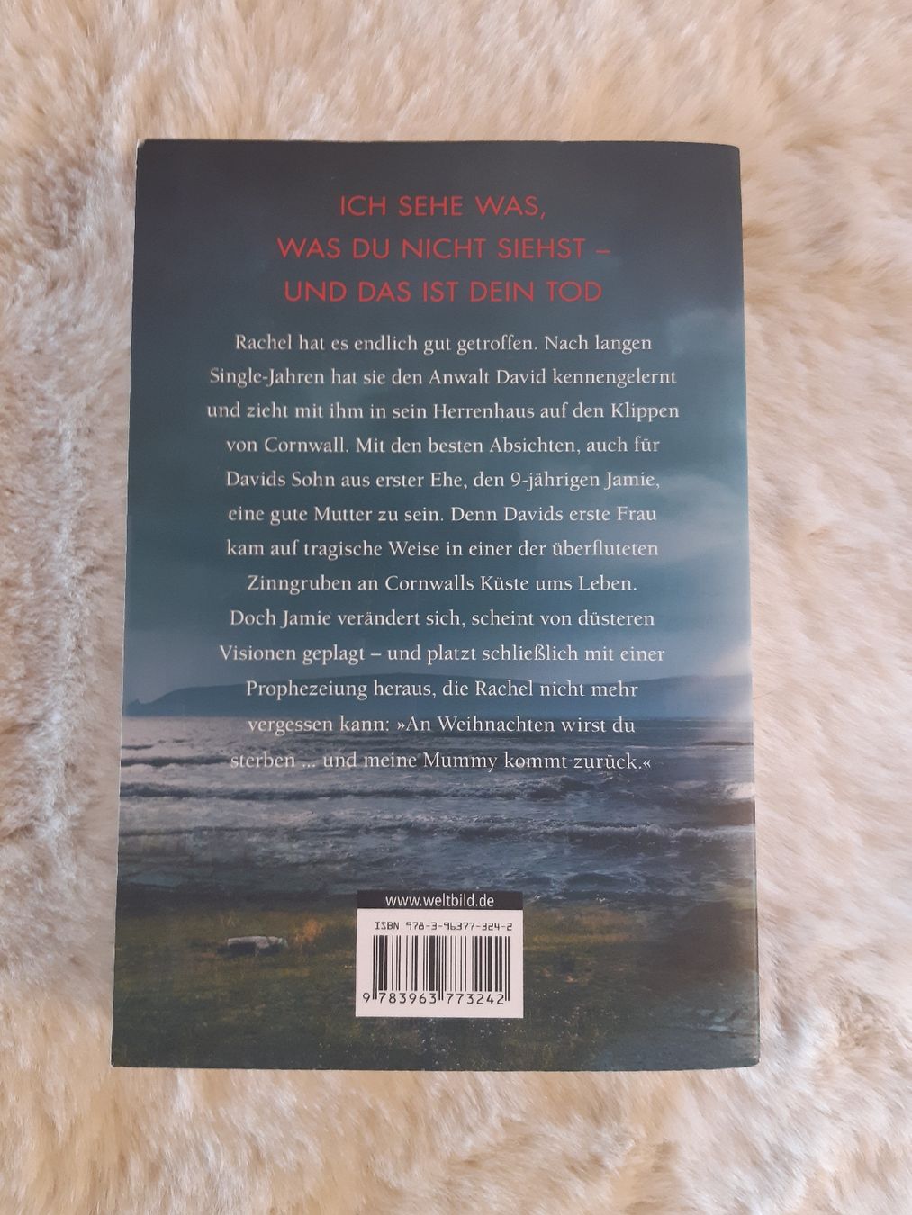 Libri: S.K.Tremayne - Stiefkind – Usato da Toffen venduto da Gwunderegge77 1