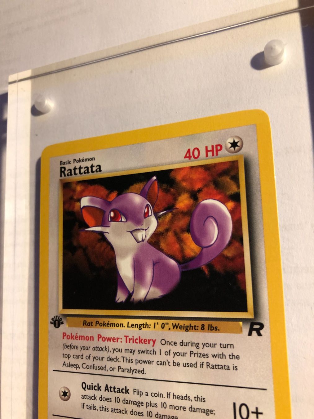Carte collezionabili: Rattata 1st Team Rocket - MINT - ab 1.- – Usato da Giubiasco venduto da dan_pr8b 3