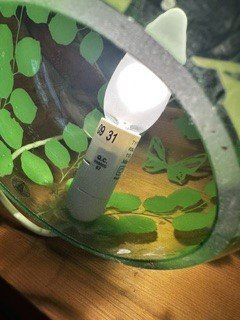 Ikea Lampen: gRoSSe buNte KuGel GLaslaMpe (n) – Gebraucht aus Winkel von zeho 3