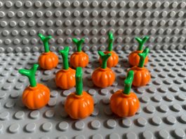 Lego Food - Kürbis