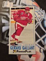 NHL Gerard Gallant Detroit Red Wings