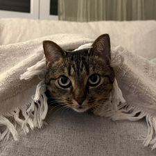 Profile image of Hyrienne