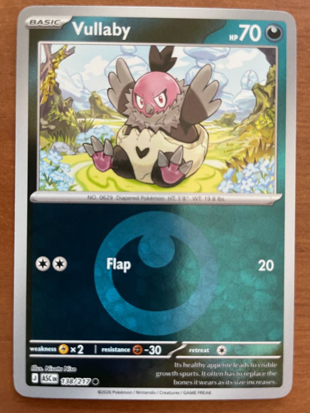 Pokémon Carte collezionabili: Pokemon Vullaby Reverse (Versand gratis) – Nuovo (secondo la descrizione) da Chur venduto da Angerson