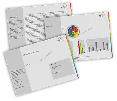 Altro per Ufficio & Commercio: AECdisc® Potenzialanalyse – Nuovo (secondo la descrizione) da Stein AR venduto da Rialo 2