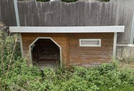 Hundehaus Holz Outdoor