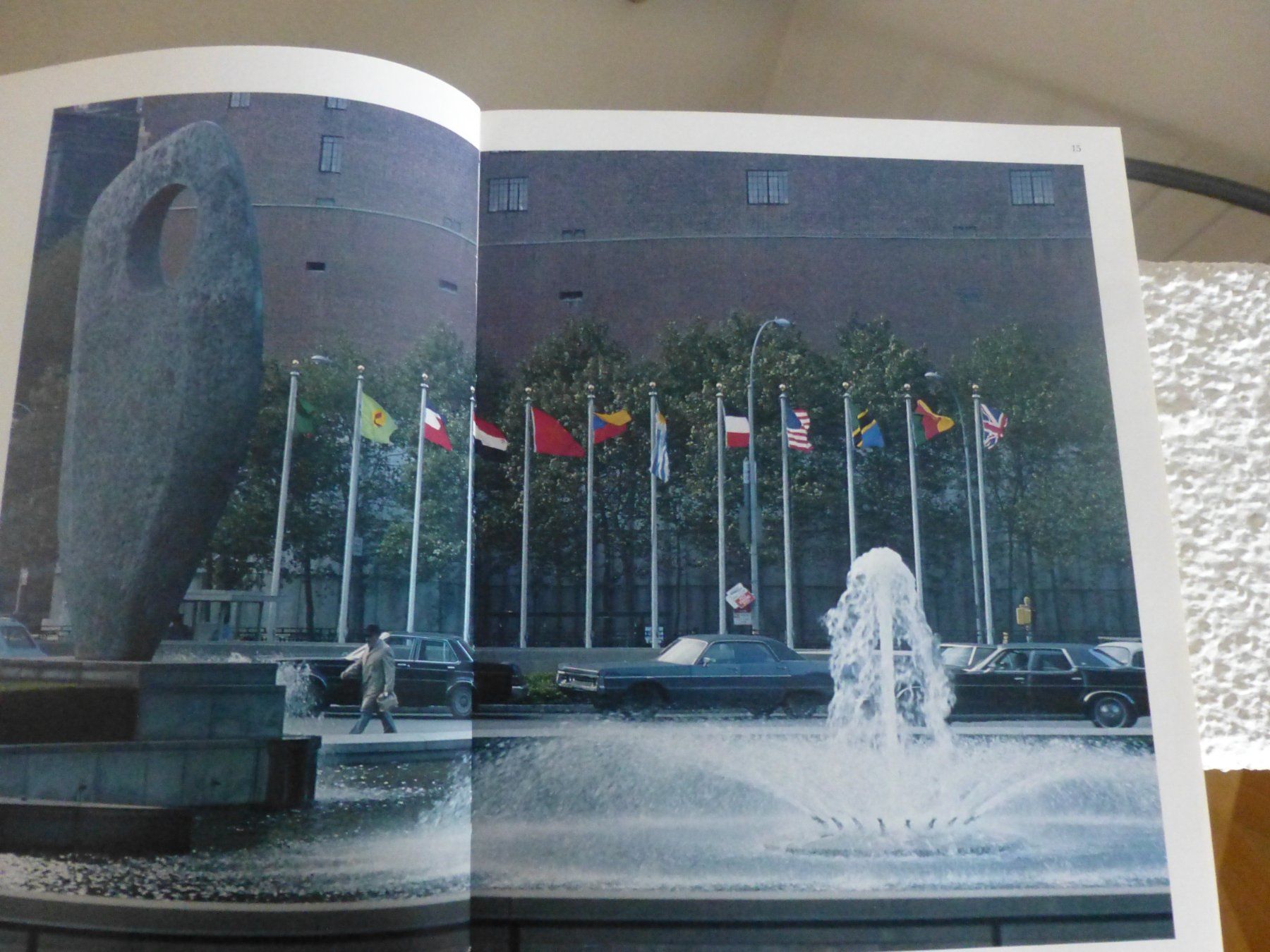 Libri: Your United Nations Guidebook – Usato da Hergiswil NW venduto da annettelia 1