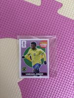 Panini Extra Sticker Vinicius Junior Brazil N/A