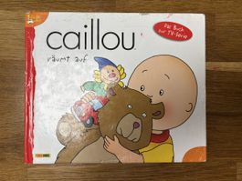 Caillou räumt auf - Kinderbuch zur TV-Serie, Top Zustand