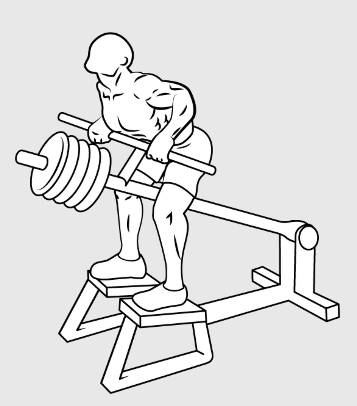 Hometrainer: Bodenhantel T-Bar – Neu (gemäss Beschreibung) aus Susten von Kora003 5