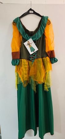 Neu - Fasnacht - Kostüm - Herbstfee Gr. 46