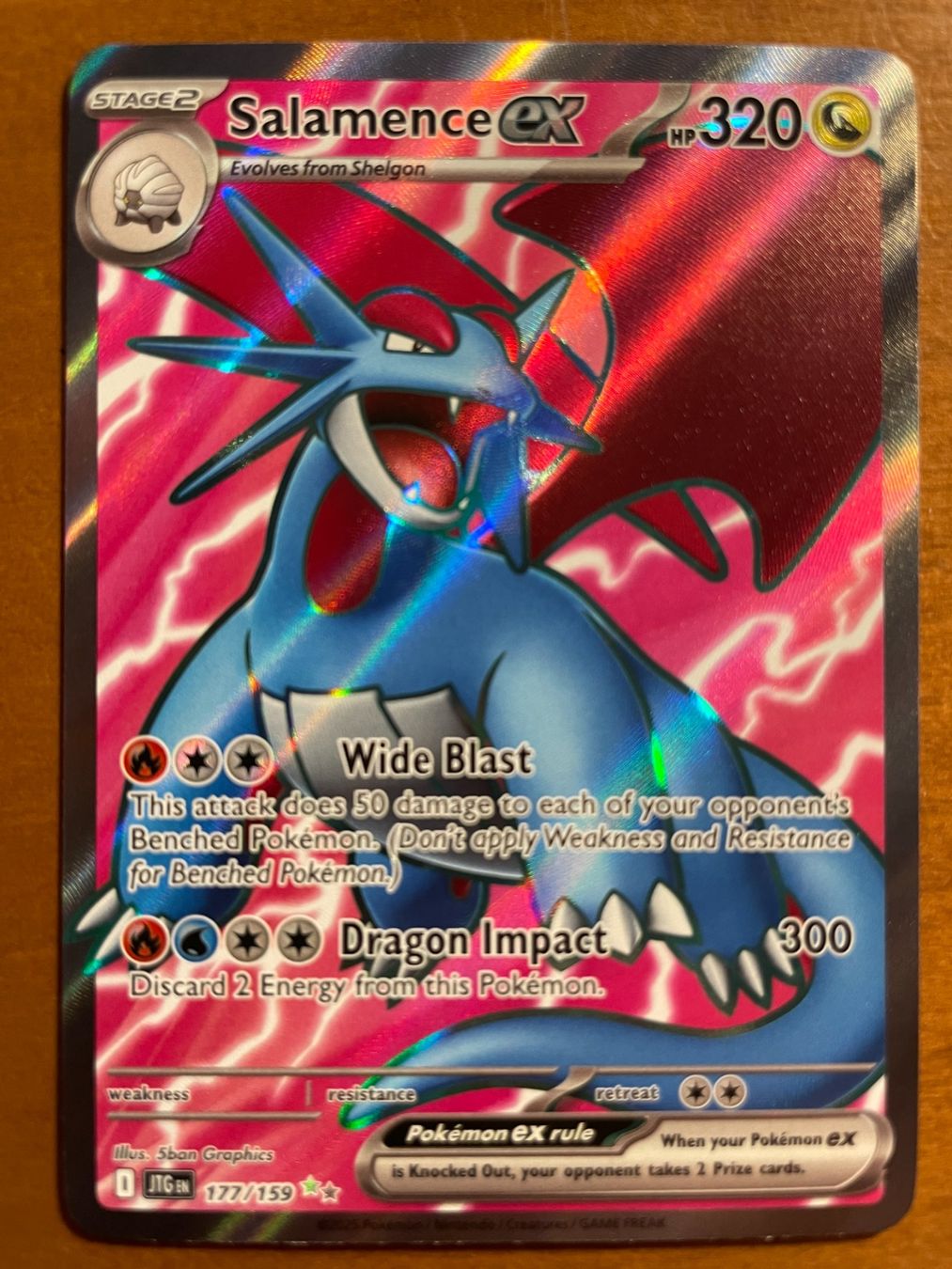 Pokémon Carte collezionabili: Pokemon Salamence eX (Versand gratis) – Nuovo (secondo la descrizione) da Chur venduto da Angerson
