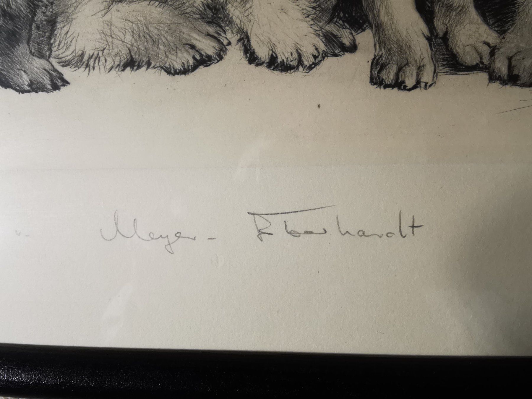 Grafica & Litografie: Hundewelpen, Original-Radierung von Kurt Meyer-Eberhardt – Usato da Dübendorf venduto da aschiduebendorf 8