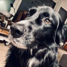 Profile image of Sille1
