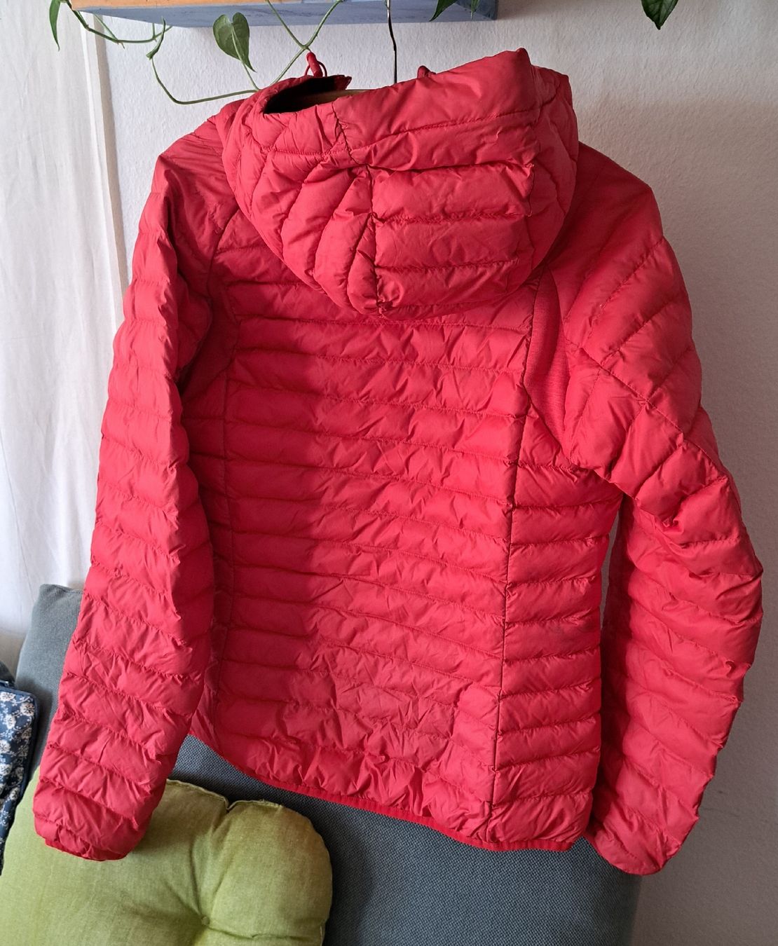 Haglöfs Jacken: Winterjacke Haglöfs – Gebraucht aus Zollikofen von selanaj 1