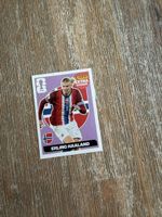 Erling Haaland Extra Sticker WM 2026