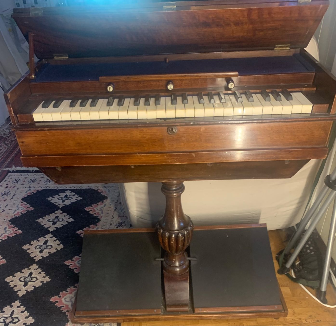 Strumenti musicali: Antikes Reise Harmonium  Physharmonika – Usato da Grabs venduto da mayram27 3