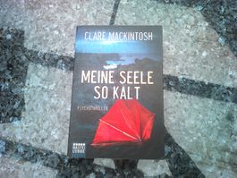 Meine Seele so kalt von Clare Mackintosh