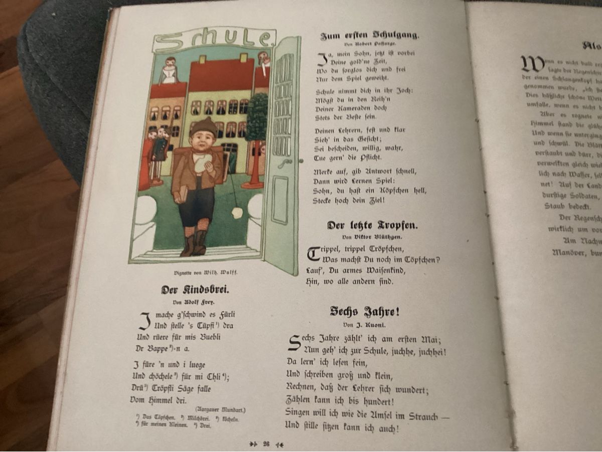 Libri: ANTIKES KINDERBUCH UM 1910 – Usato da Münchenstein venduto da NoSu98 4