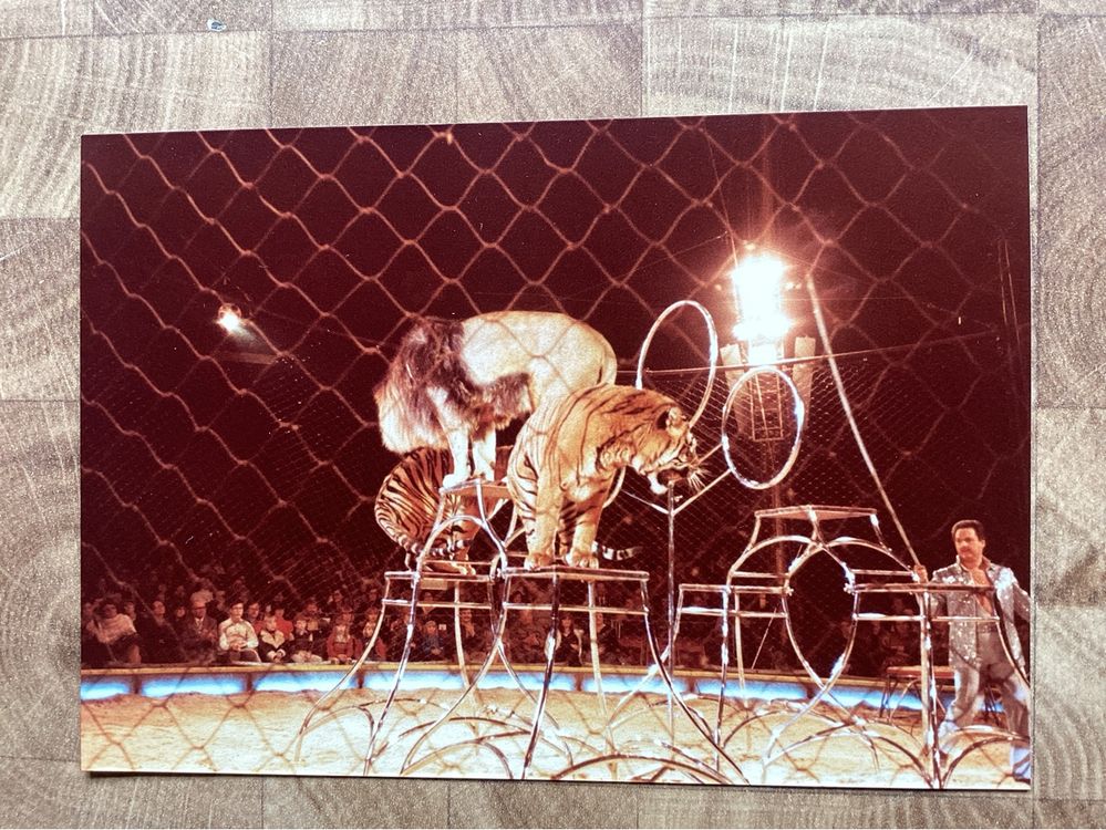 Circus Knie Foto 1980 | Kaufen auf Ricardo