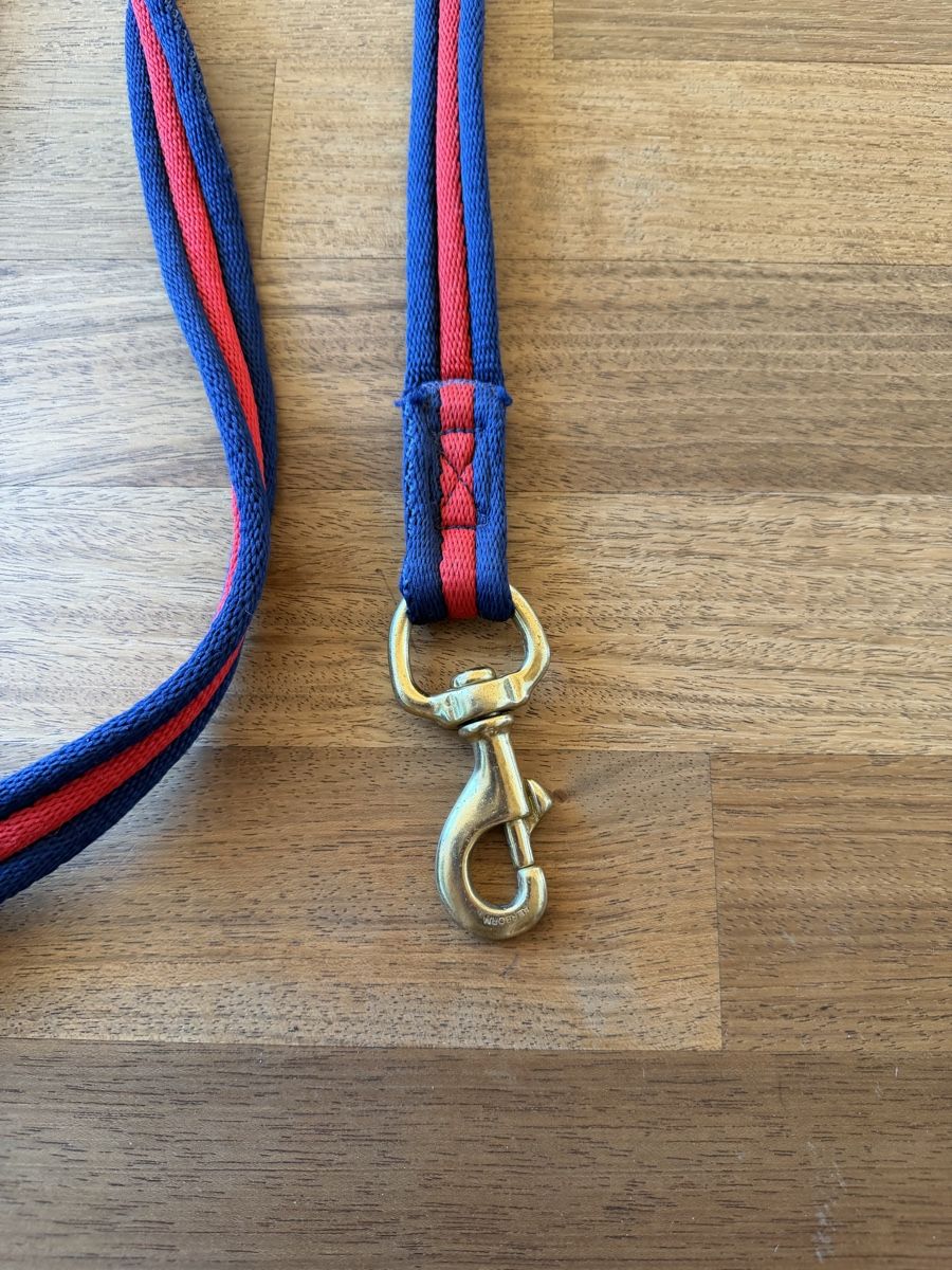 Altro in Accessori per animali: Longierleine und Longierpeitsche – Usato da Faulensee venduto da Gfellech 1