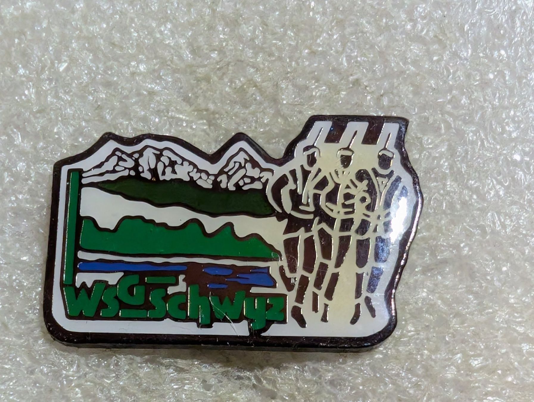 Placchette & Badge: Ansteckpin 161: WSG Schwyz – Usato da Oppligen venduto da Pin-Fall-Shop