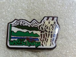 Ansteckpin 161: WSG Schwyz