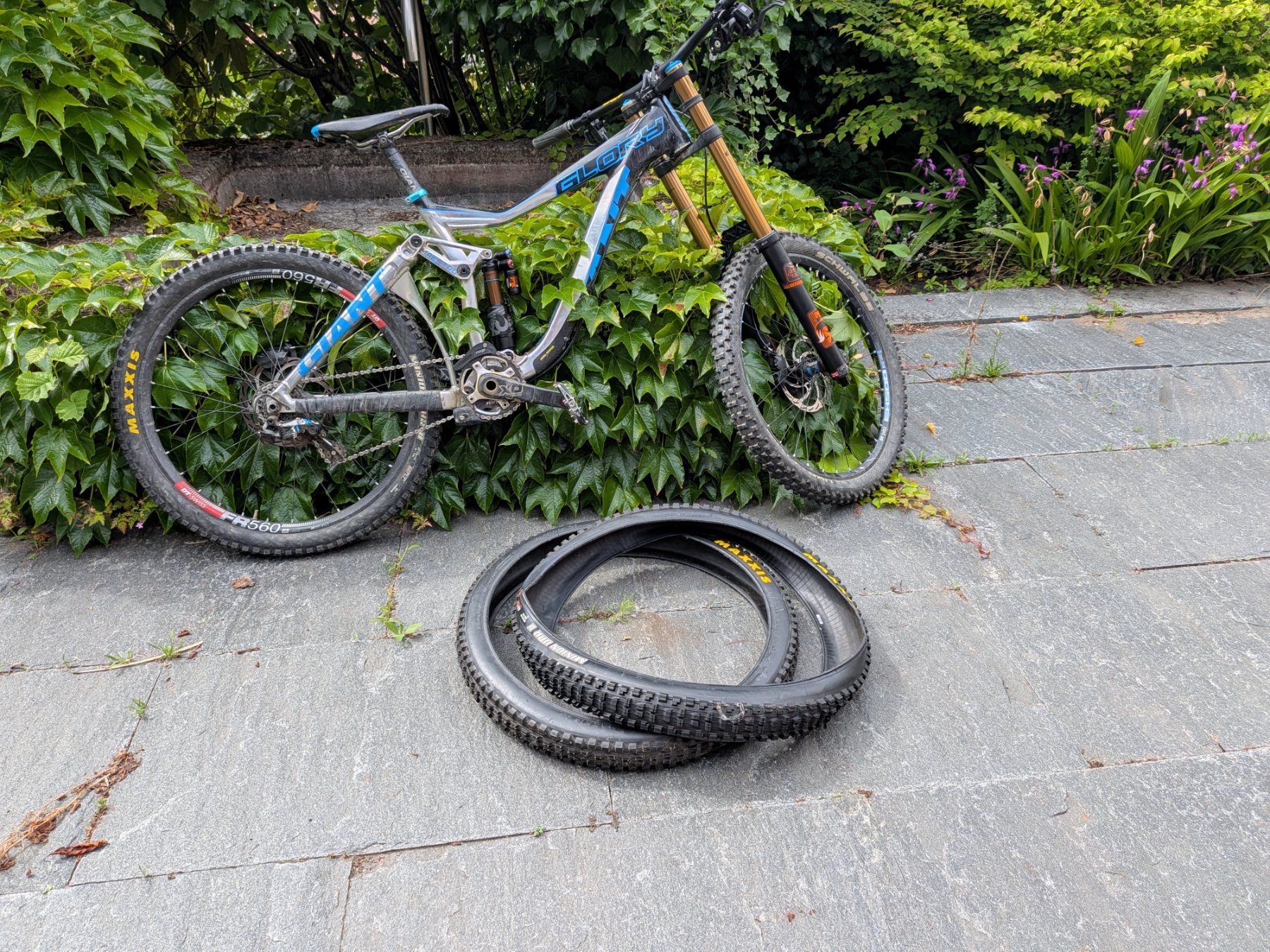 Giant Biciclette: Downhill Giant Glory L, Fox40, Fox FloatX2, Gustav Pro – Usato da Winterthur venduto da The_widi 9