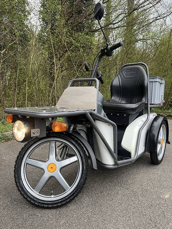 Veicoli elettrici: Kyburz Dxp 180 Ah – Usato da Effretikon venduto da ugochan
