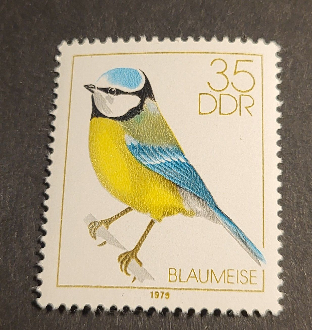 Tous les timbres: DDR 1979 Blaumeise briefmarke – D'occasion à St Gallen par Stampsalshobby