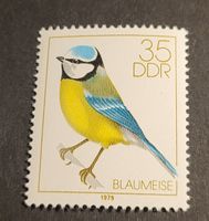 DDR 1979 Blaumeise briefmarke
