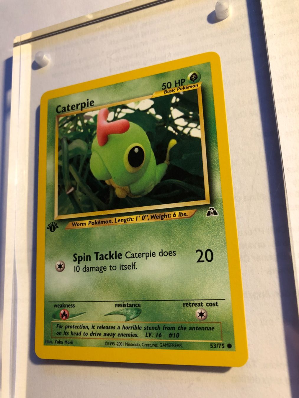 Sammelbilder & Trading cards: Caterpie 1st Neo Discovery - MINT - ab 1.- – Gebraucht aus Giubiasco von dan_pr8b 2