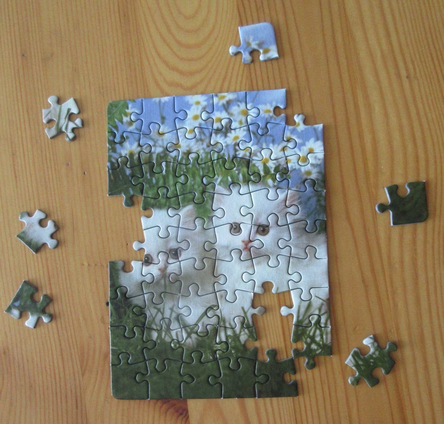 Puzzle: Mini Puzzle Cats – Usato da Kaisten venduto da renault015 2