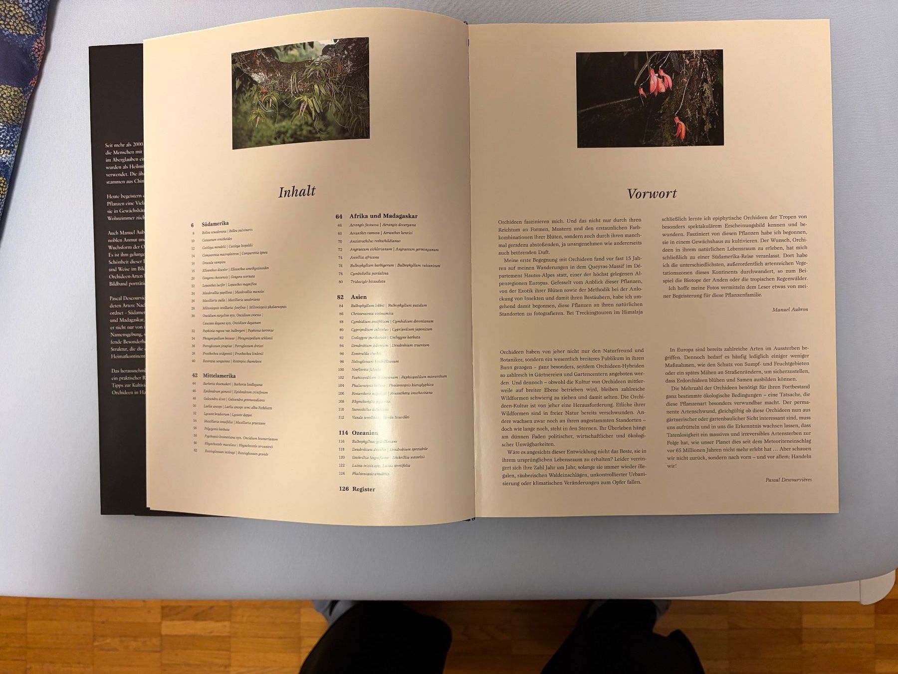 Libri: Orchideen-Buch, Bildband, Orchideen bestimmen – Usato da Zürich venduto da Fortunalis 3