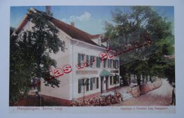 Baselland Nenzlingen RestDannacher/Änzlingerhof anno dazumal