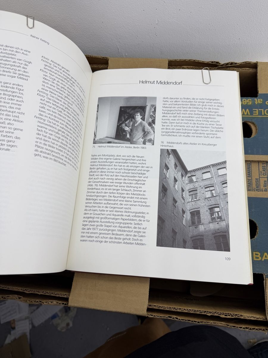 Libri: Die neuen wilden in Berlin – Usato da Wettingen venduto da NickInc 4