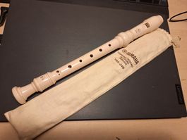 Flûte à bec