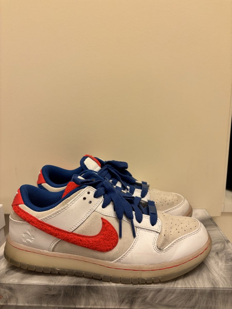 Nike Scarpe da uomo: Sneaker – Usato da Bassersdorf venduto da dia_p8v6
