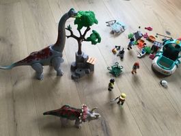 Playmobil Sets 